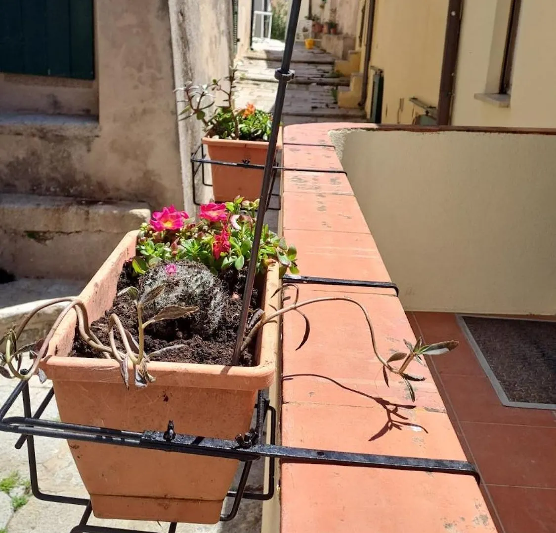 Casa Giulia Nel Borgo Apartment Pila  Italy